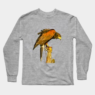 Harris Hawk on alert Long Sleeve T-Shirt